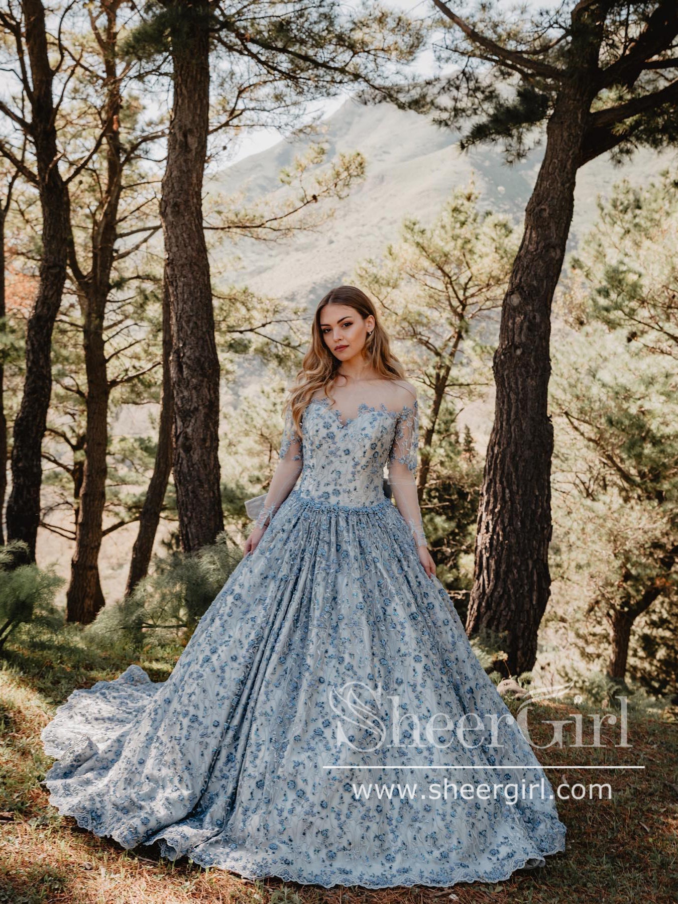 dusty blue lace dress Dusty Blue Delicated Flower Lace Ball Gown Sweetheart Neck Tulle Prom Dress ARD2907
