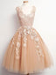 Ball Gown V-neck Tulle and Lace Vintage Homecoming Dresses,apd1576