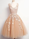 Ball Gown V-neck Tulle and Lace Vintage Homecoming Dresses,apd1576-SheerGirl