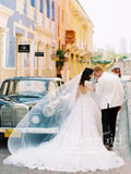 Cathedral Train Long Sleeves Lace A Line Wedding Dress with Deep V Neck AWD1822-SheerGirl