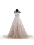 Lace Appliqued Nude Tulle Chapel Train Ball Gown Wedding Dresses,apd2301-SheerGirl