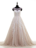 Lace Appliqued Nude Tulle Chapel Train Ball Gown Wedding Dresses,apd2301-SheerGirl