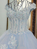 Lace Appliqued Sky Blue Ball Gown Wedding Dresses Off the Shoulder APD2818-SheerGirl