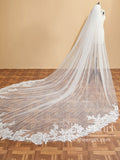 Luxury Floral Lace Cathedral Train Veil Bridal Veil Wedding Veil ACC1197-SheerGirl