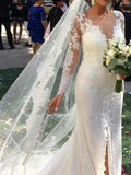 See Through Long Sleeve Lace Wedding Dresses Mermaid Wedding Dress with Slit AWD1234-SheerGirl