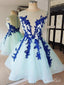 See Through Royal Blue Homecoming Dresses Lace Applique Short Homecoming Dresses APD3510