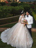 See Through Wedding Dresses with Sleeves Lace Applique Vintage Wedding Dresses APD3492-SheerGirl
