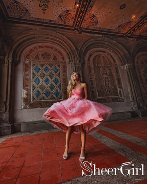 Shimmery Tulle A-line Ball Gown with Watermelon Colored Sweet Heart Prom Dresses ARD2517-SheerGirl
