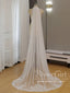 Simple Floral Lace Chapel Train Veil Bridal Veil Wedding Veil ACC1195