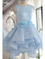 Sky Blue Short Homecoming Dresses Applique Cheap Cute Homecoming Dress ARD1329