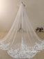 Vintage Lace Cathedral Veil Shaped Bridal Veil Wedding Veil ACC1183